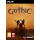 Gothic 1 Remake PC - 1373936 - zdjęcie